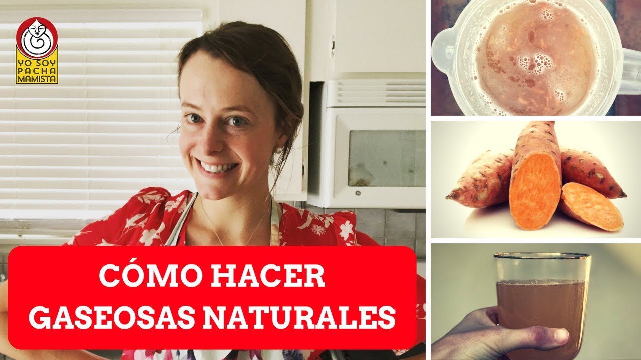 Cómo hacer GASEOSAS NATURALES