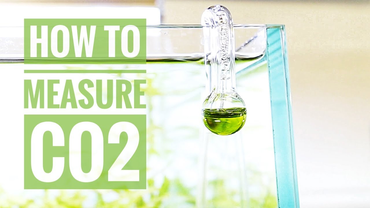 HOW TO measure CO2
