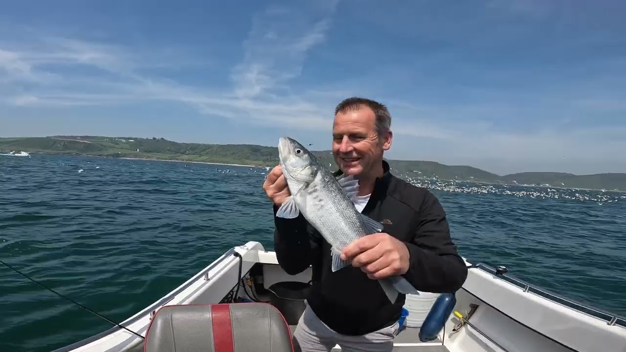 Boat fishing - bass, pollack & gulls??