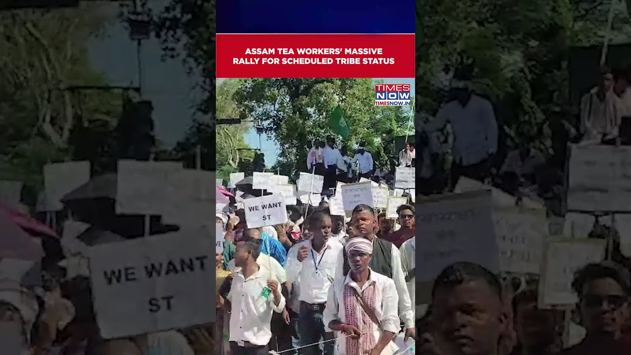 Assam Tea Garden Workers Hold Massive Rally Demanding Scheduled Tribe Status 