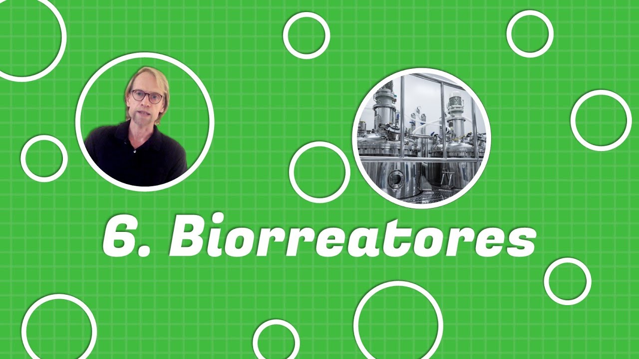 6. Biorreatores (Curso de Engenharia de Bioprocessos)