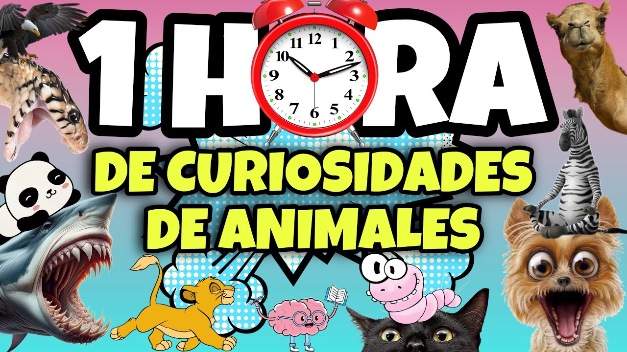 1 HORA DE CURIOSIDADES DE ANIMALES  🙈🦁