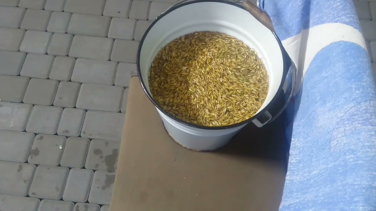 Плюсы и минусы ферментированного зерна. Ответы на комментарии.