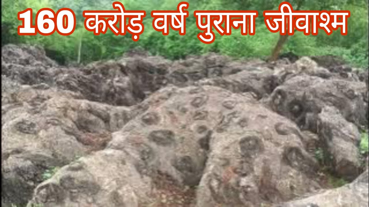 The world's oldest fossil | दुनिया का सबसे पुराना जीवाश्म 