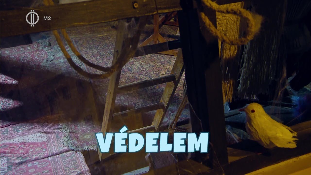 Védelem - Derítsük ki!