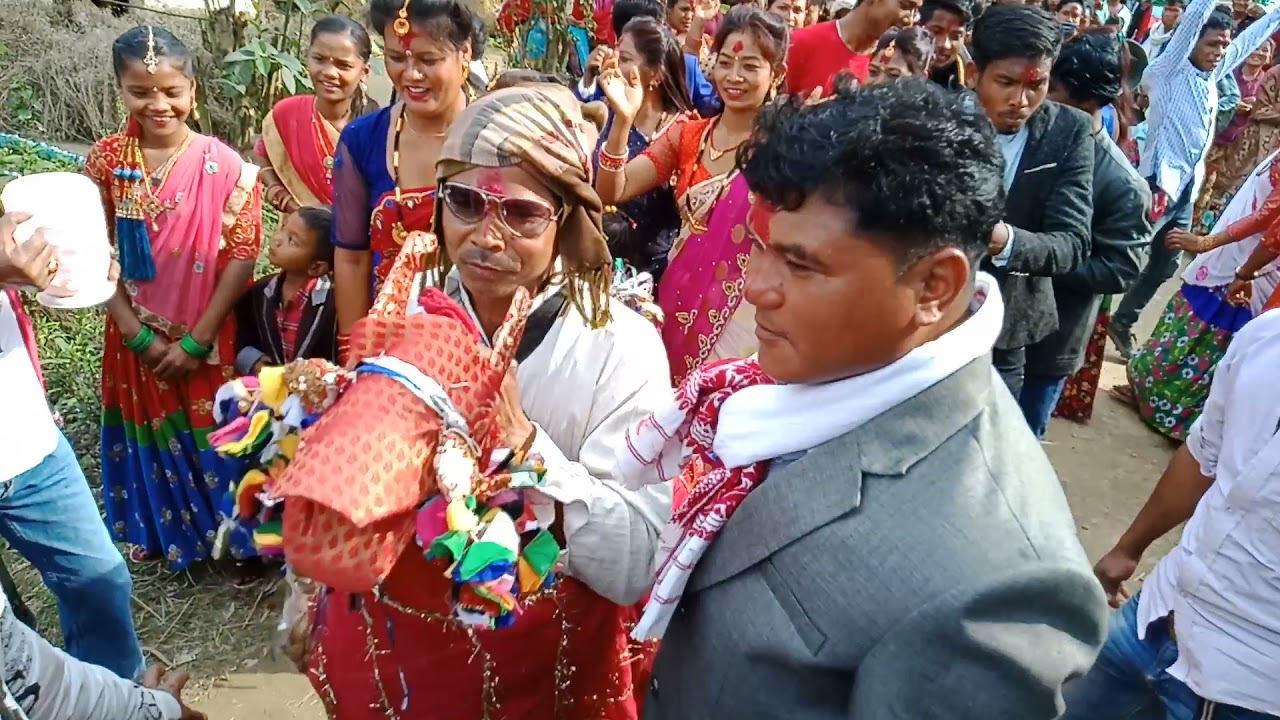 Dhodhari bardiya