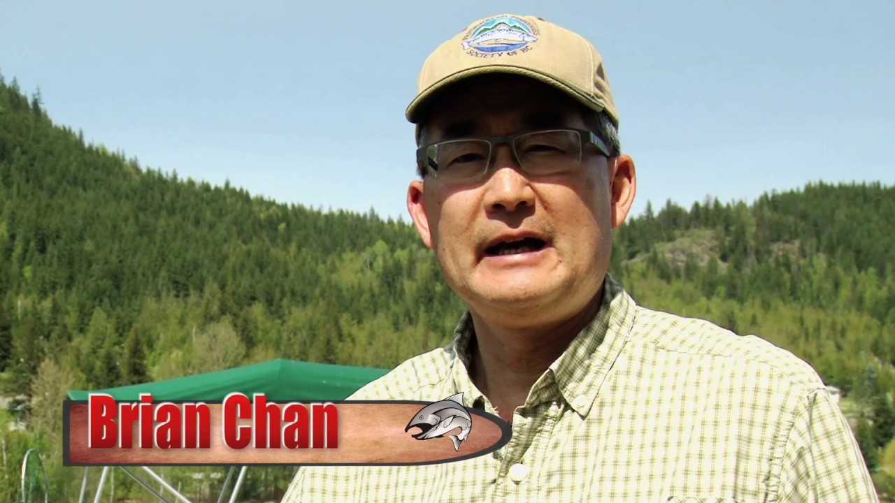 Spring Fishing for Rainbow Trout at White Lake - BCOSF Season 5, Episode 1