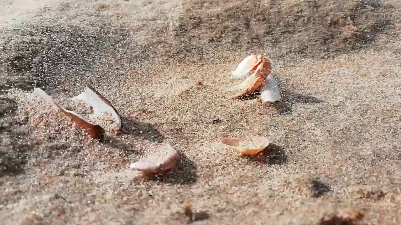 Magic sand in Bloemendaal
