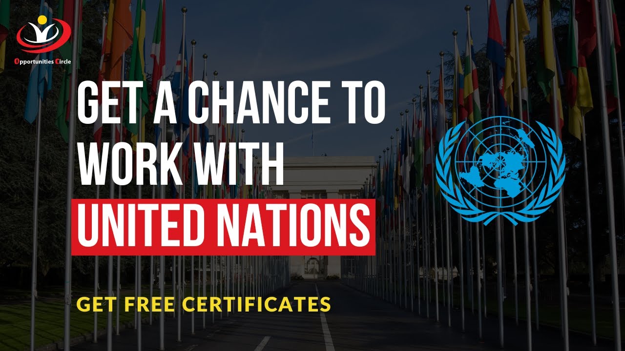 UN Online Volunteer Program | Complete Guide | Work with UN