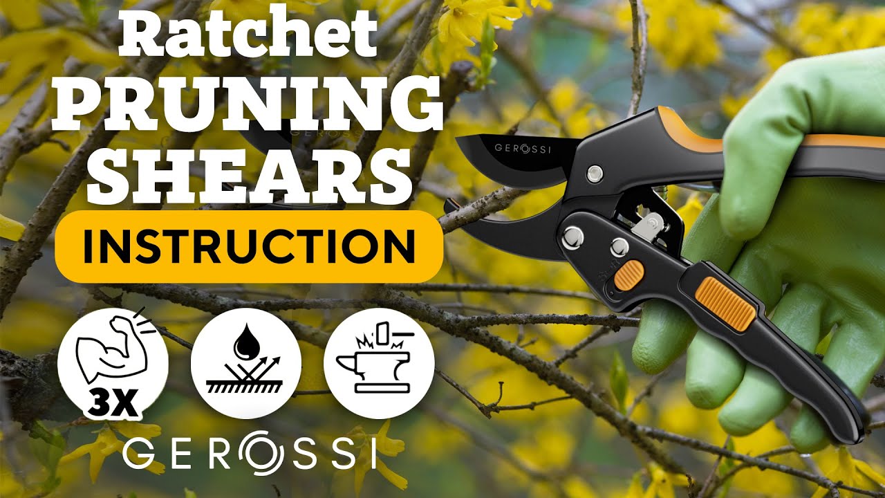 Best Ratchet Mechanism Pruning Shears - User Manual - How to Use - Gerossi Amazon Available