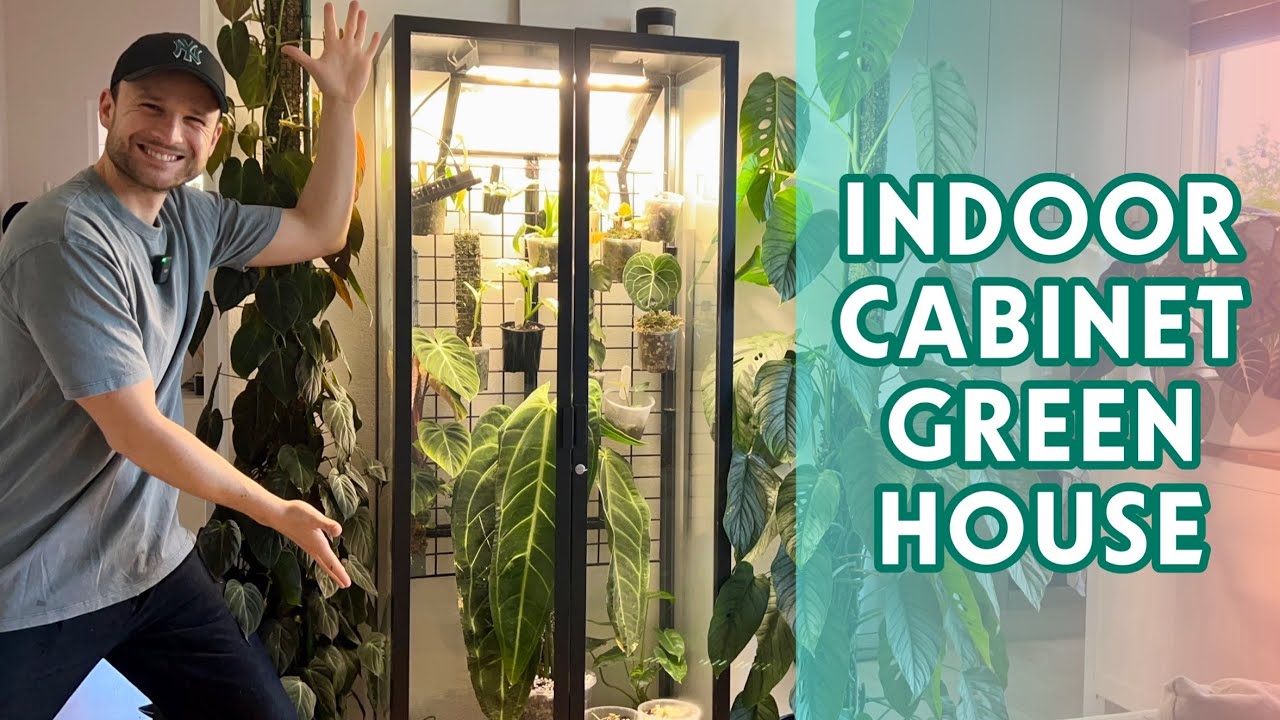 MY INDOOR GREENHOUSE CABINET - set-up & plant tour