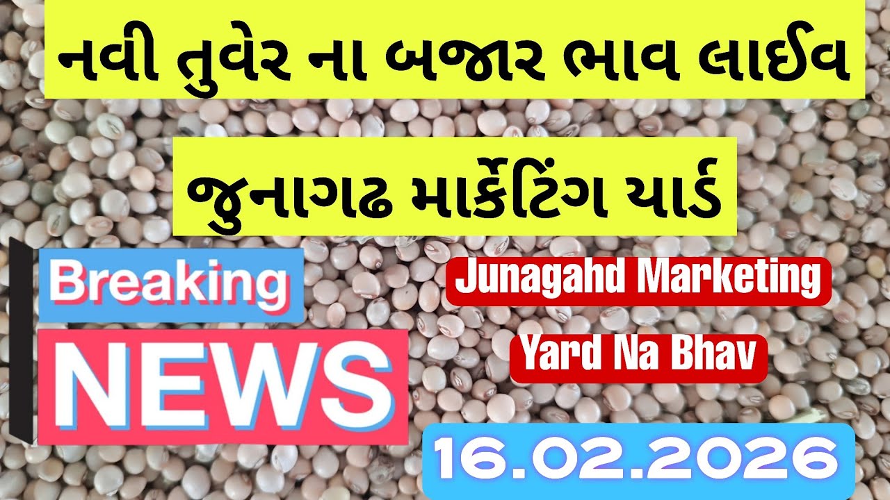 નવી તુવેર ના બજાર ભાવ / તુવર ના ભાવ આજના / નવી તુવેર ની હરાજી લાઈવ જુનાગઢ / junagadh marketing yard