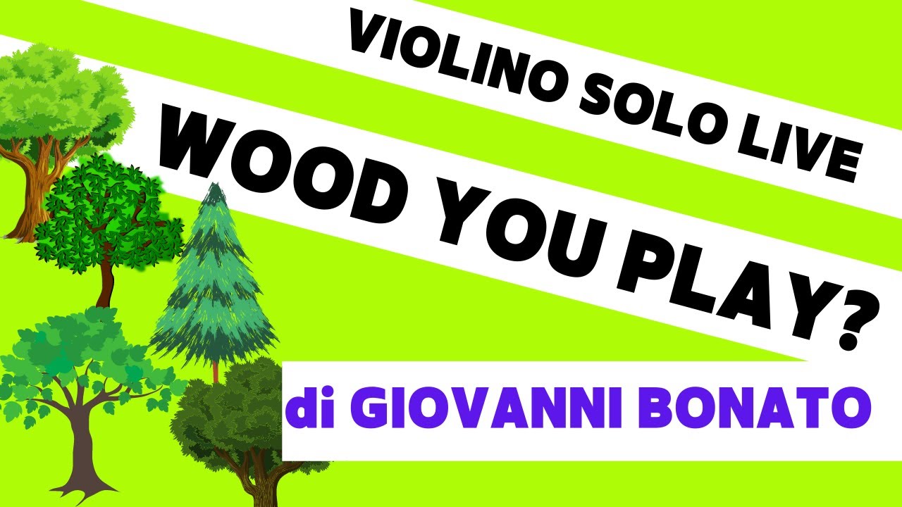 Giovanni Bonato - Wood you play? (2012) | Tommaso Luison violino solo | musica contemporanea LIVE