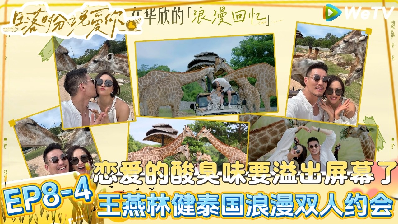 【日落时分说爱你 】EP8-4：哥姐爱情太好磕了，王燕林健泰国享受二人世界随时随地秀恩爱！|Forever by Your Side#恋综#腾讯综艺 #日落时分说爱你