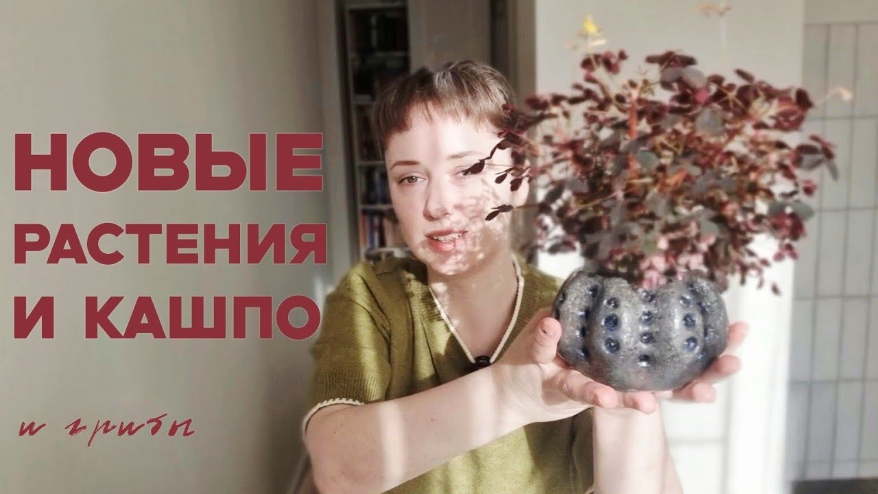 Весенние обновления | растения и керамика