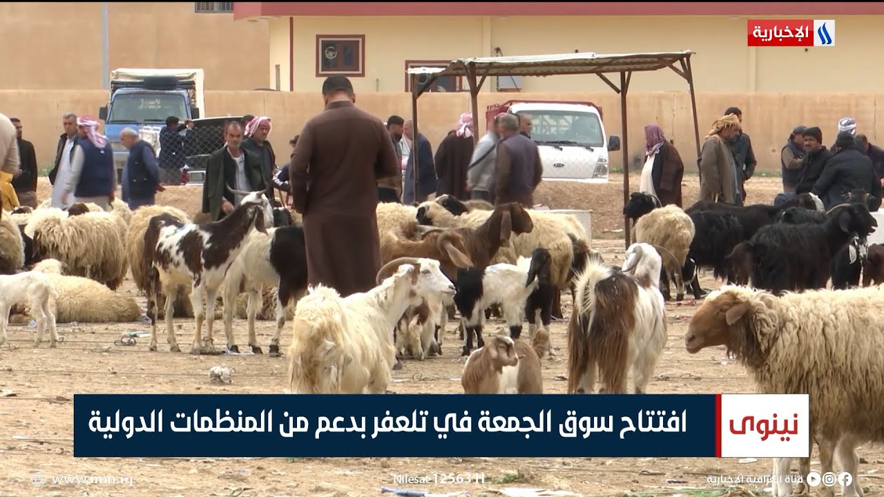 نينوى | افتتاح سوق الجمعة في تلعفر بدعم من المنظمات الدولية | تقرير نور فاضل