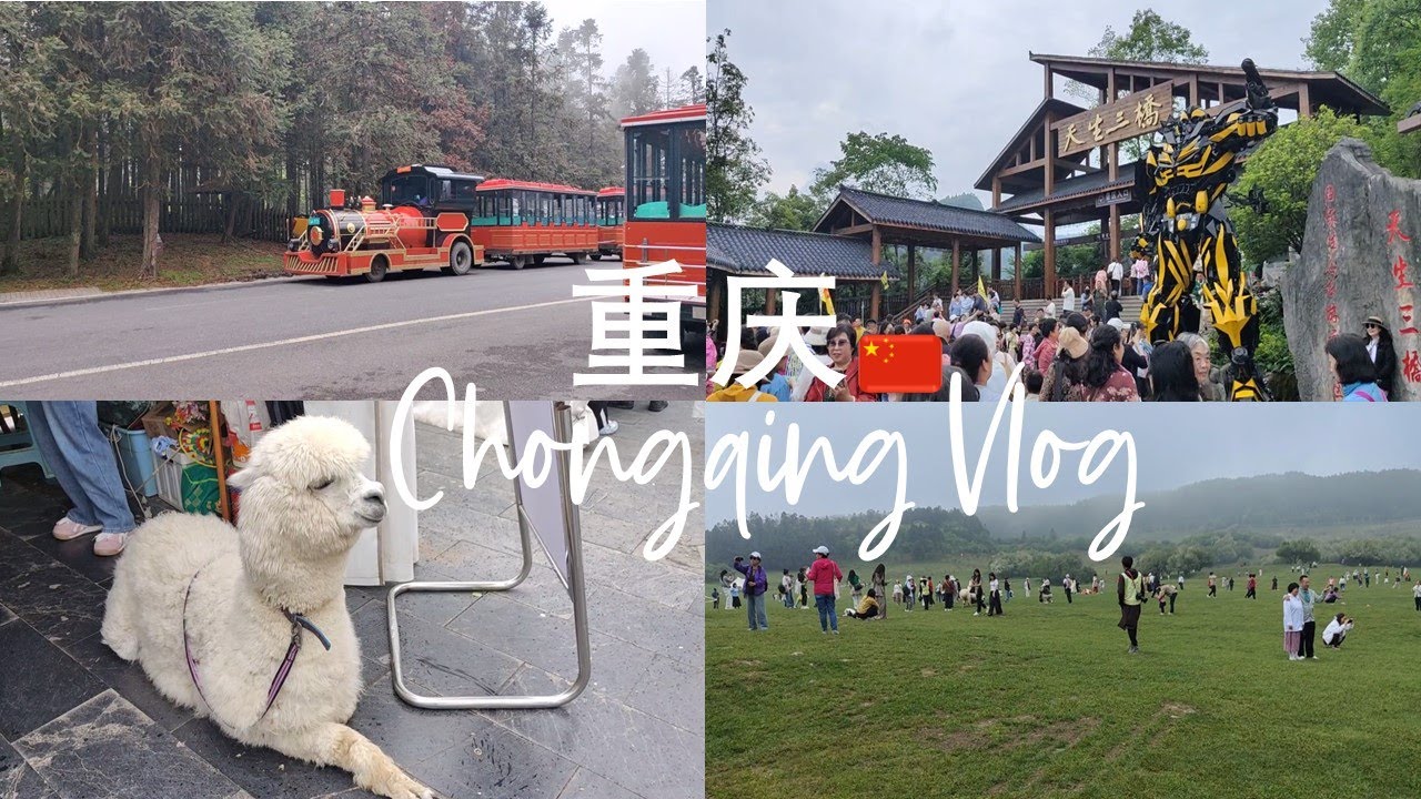 Chongqing Vlog - Fairy Mountain and Three Natural Bridges in Wulong Karst Part 02 -🇲‌🇾- ву Yuko Wee