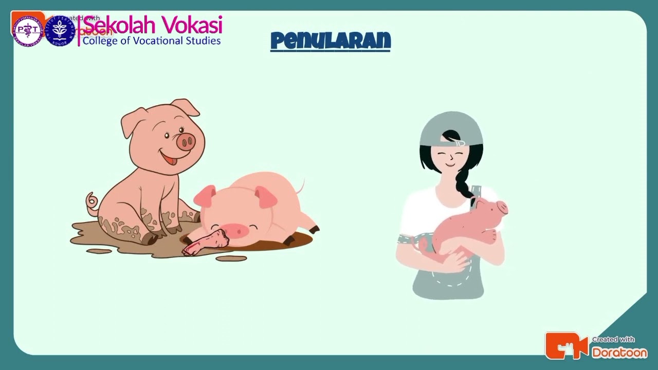 Penyakit Mulut dan Kuku pada babi (Foot Mouth Disease)