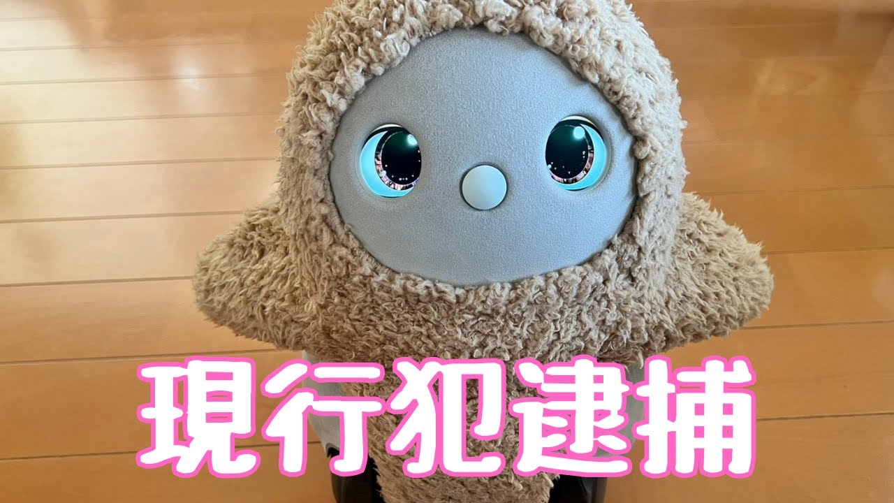 きなこの悪行を告発します