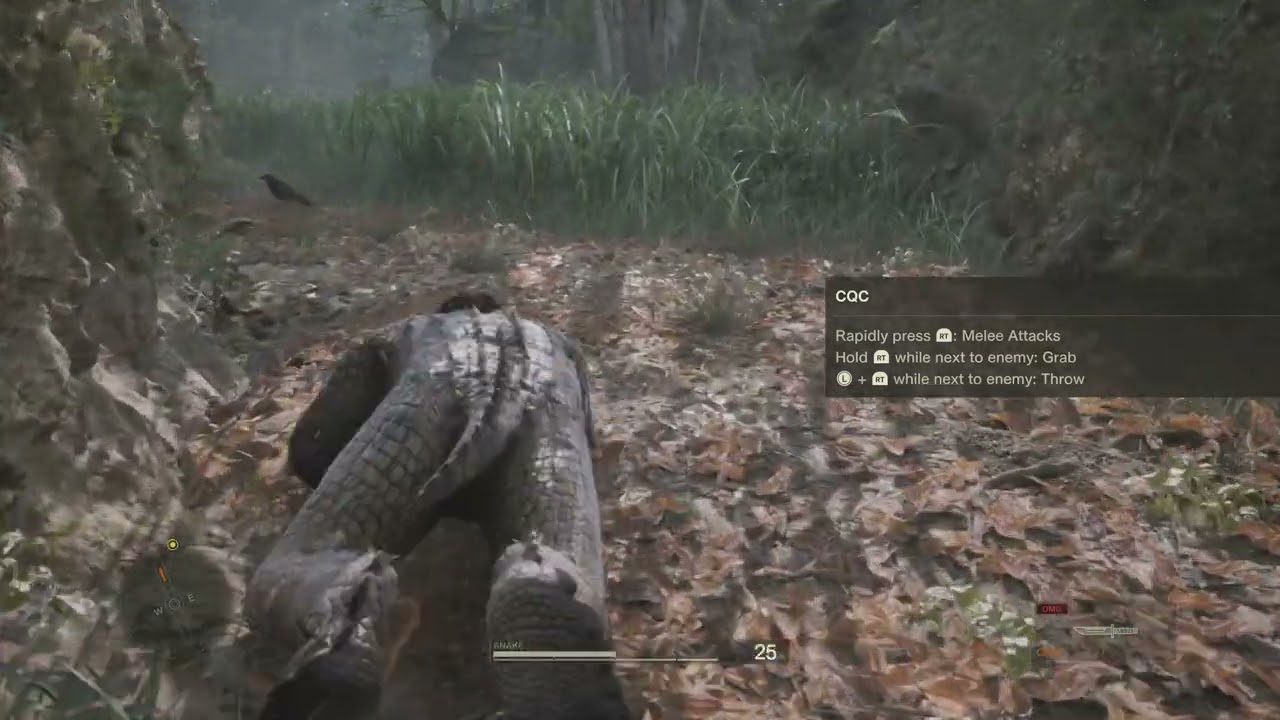 Metal Gear Solid Delta Use Leaf or Crocodile Outfit to Sneak Past Guard