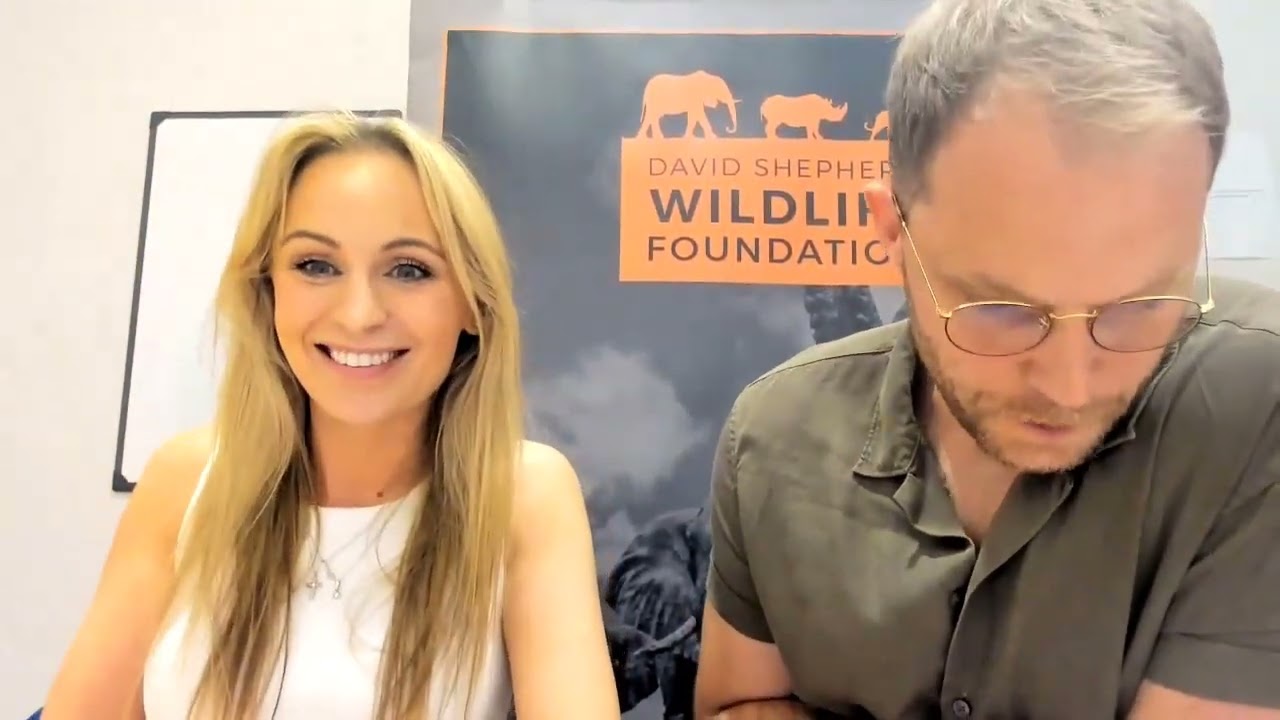 DSWF Wildlife Artist of the Year 2023 Virtual Awards Ceremony