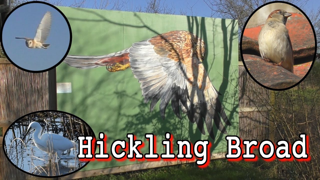 NWT Hickling Broad, February 2020