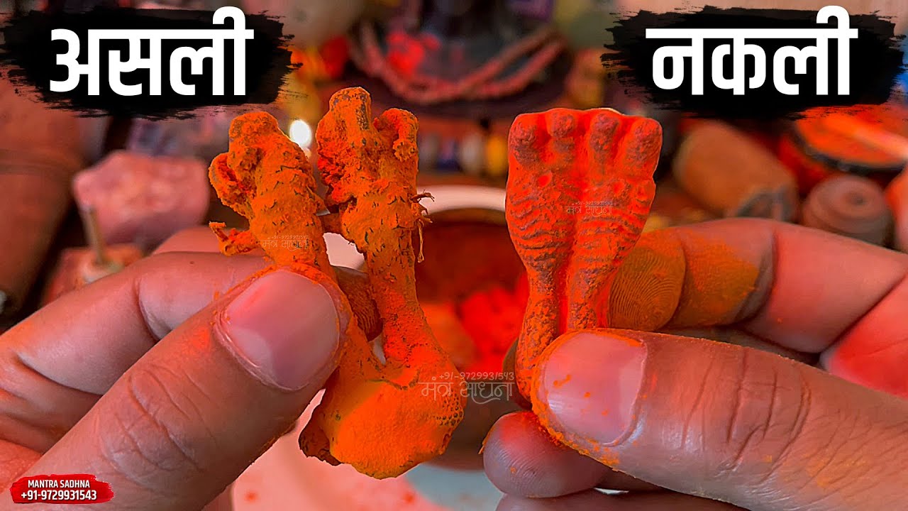Asli Hattha Jodi Ki Pehchan | असली और नक़ली हत्था जोड़ी की पहचान