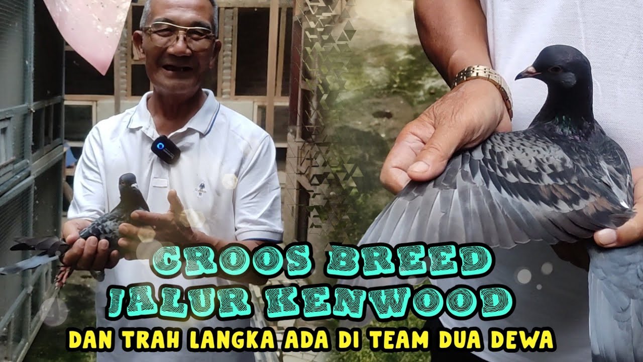 IDOLA JALUR KENWOOD, QIU-QIU, BULE, SAMKOK TRAH NASIONAL SEMUA #2