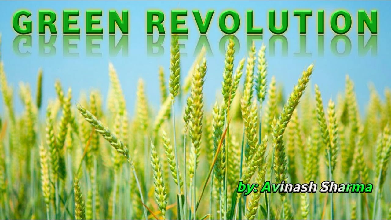 Green Revolution, Strategies for Enhancement in Food Production, Plant Breeding