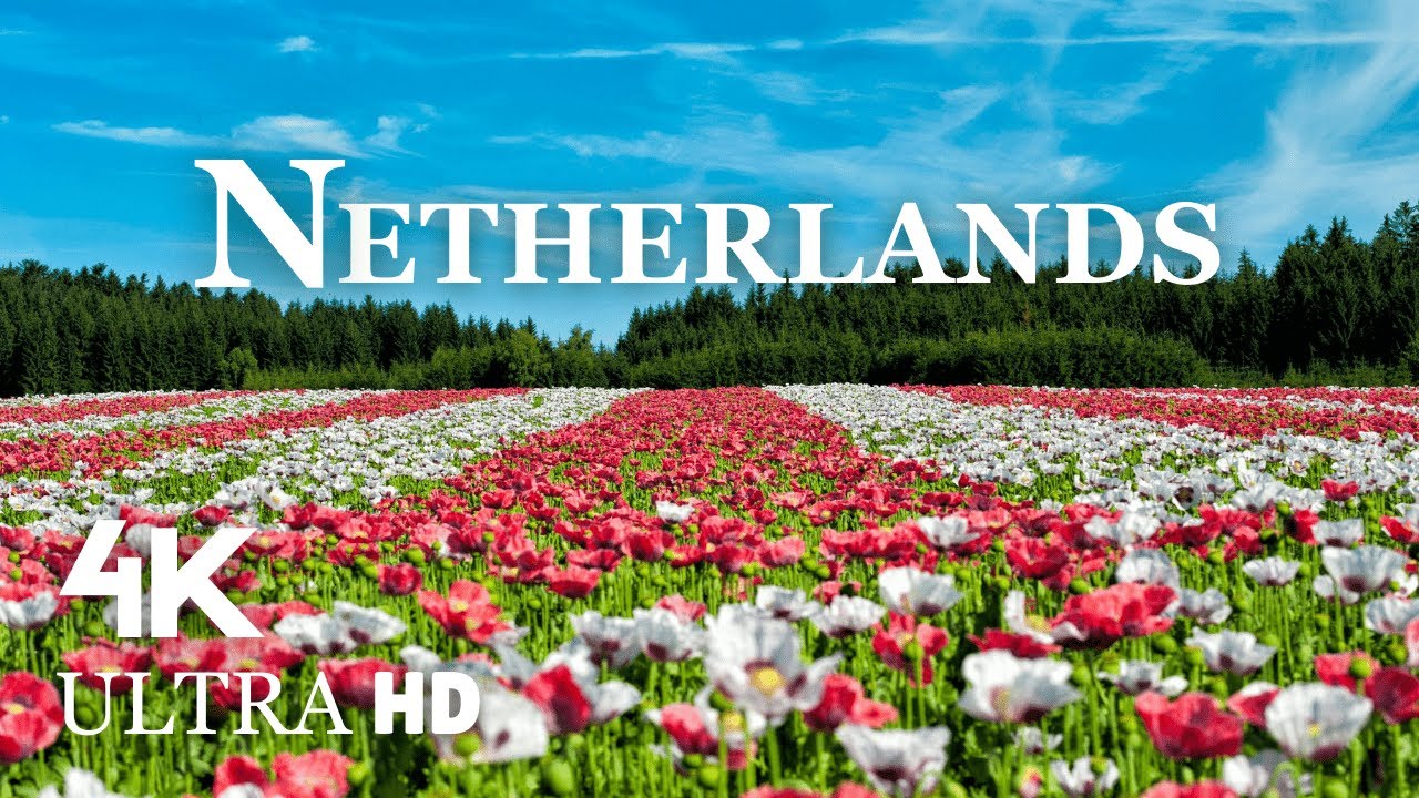 Netherlands 4K - Stunning Canals & Tulips With Relaxation Music