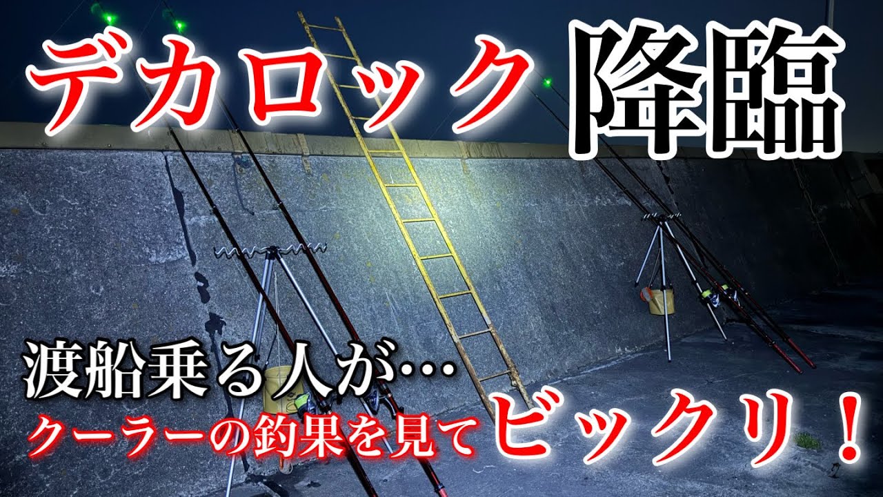 デカロック降臨…渡船乗る人がクーラーの釣果を見てビックリした…