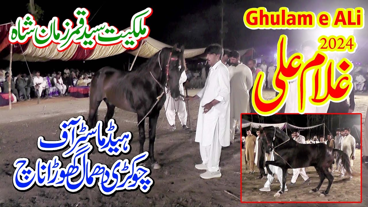 Ghulam e Ali Pakistan Baest l Horse Dance l Moza Koria Arifwala Pakpatan l Syed Qamar Zaman Shah