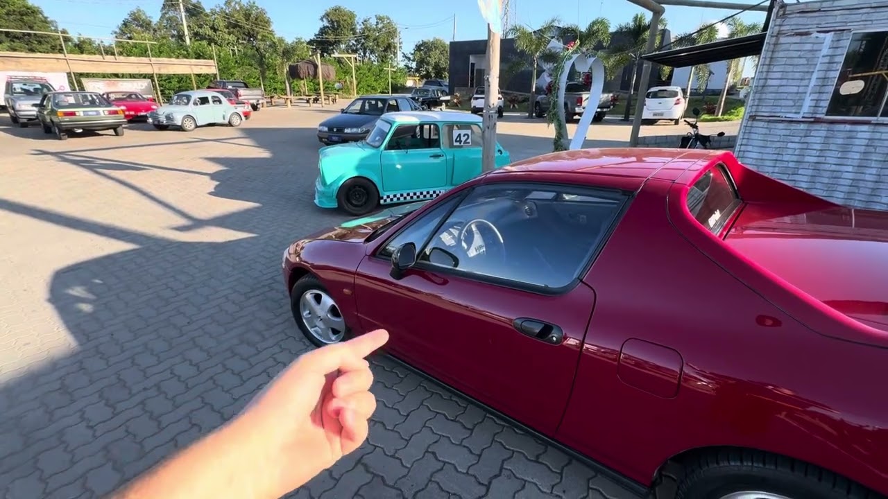 Leilão de Carros Antigos e Especias de Belo Horizonte - Lagoa Santa
