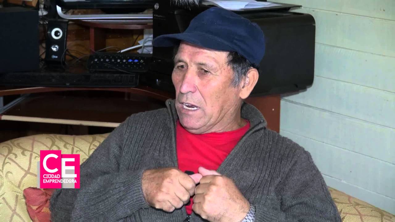 Ernesto Hollander   Barcos en Botella