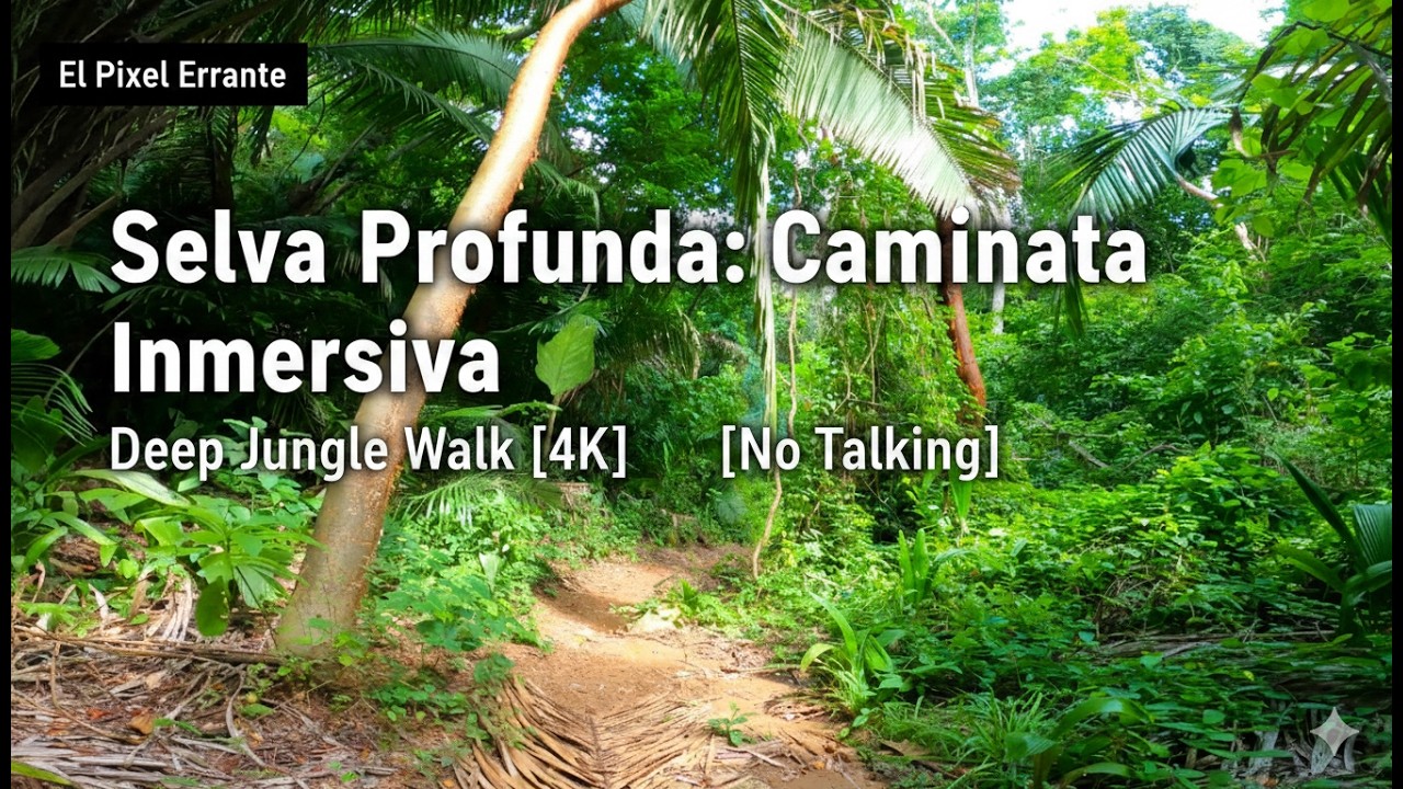 Explorando la Selva | Tropical Forest Walking Tour