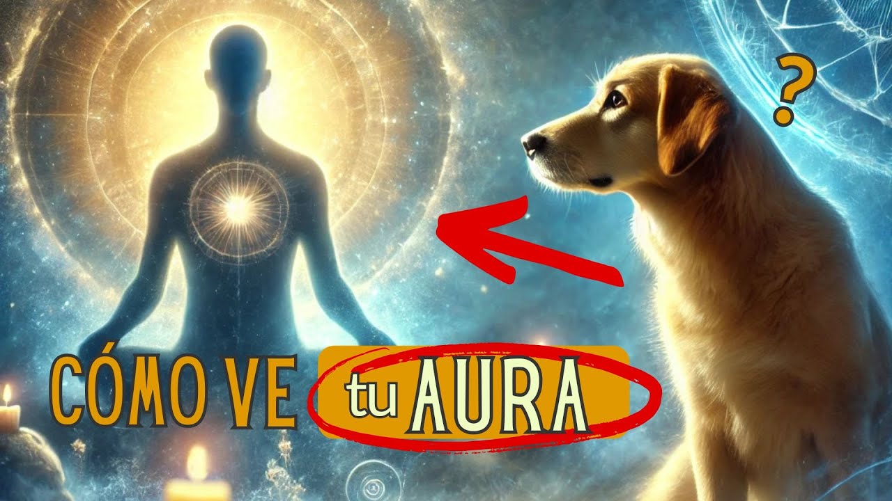 🐾C&oacute;mo ve tu PERRO el AURA de las personas