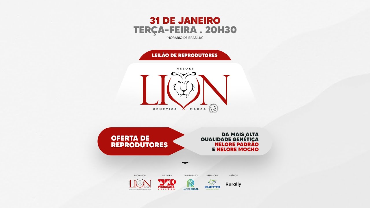 LOTE 15