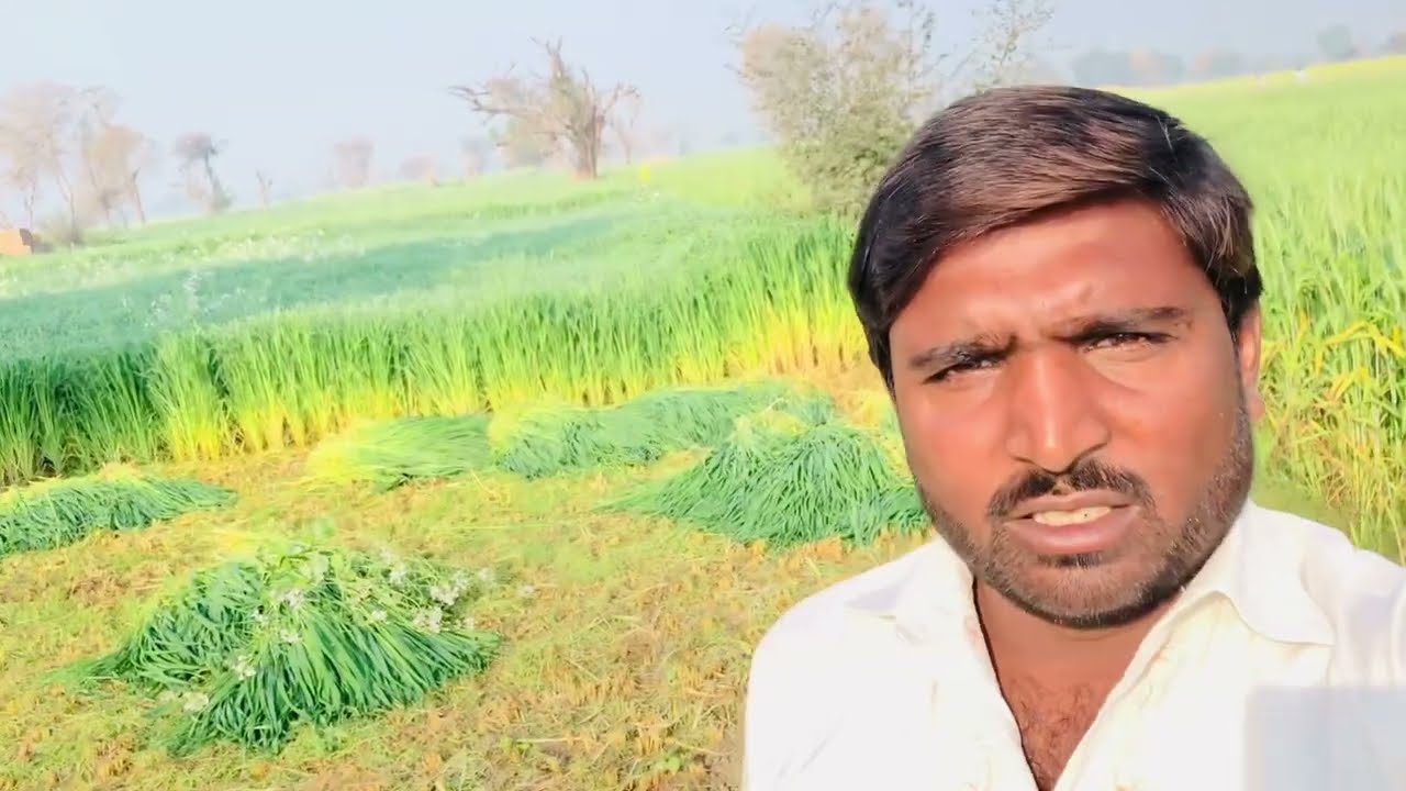 February 22, 2026 aao dekhen faslon ki sair