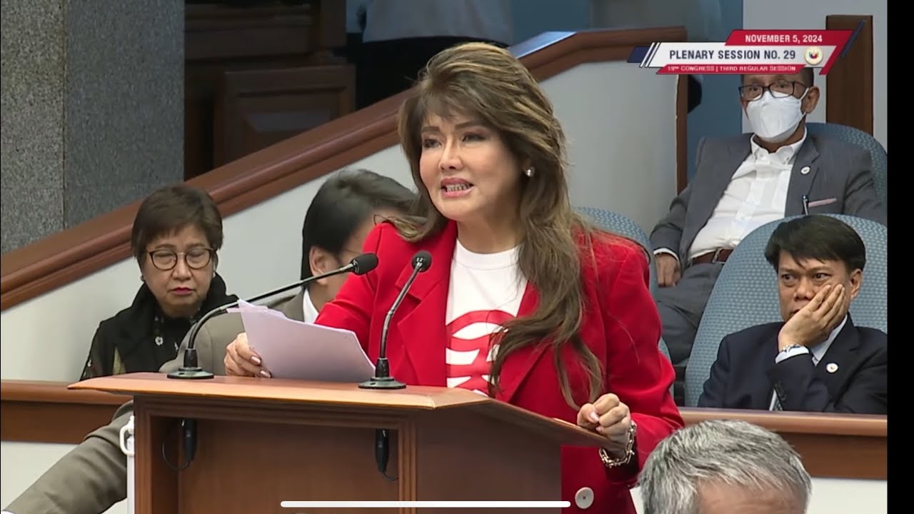 Sponsorship speech for Senate Bill No. 2816 under Committee Report No. 317