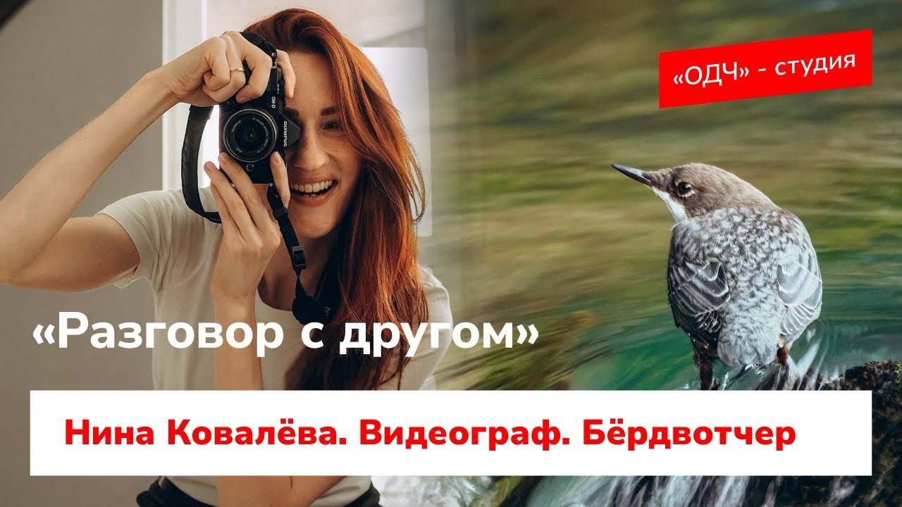 «Разговор с другом». Нина Ковалёва