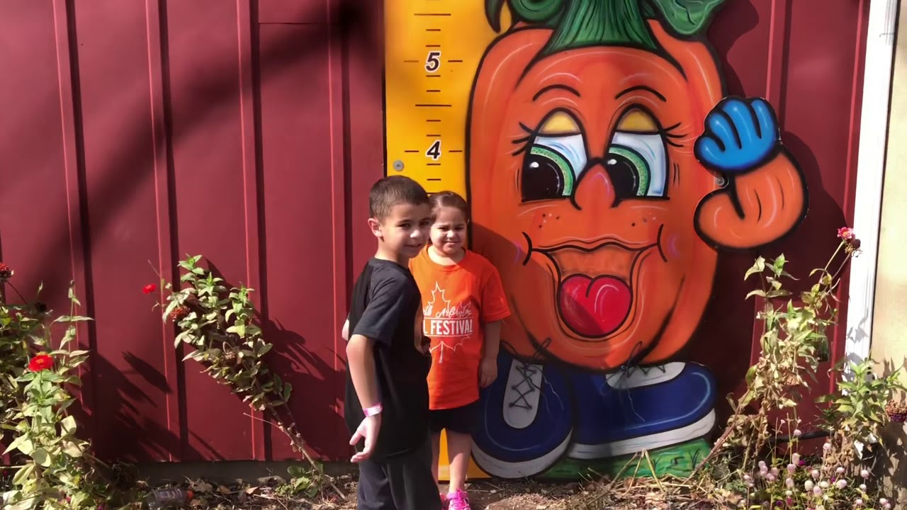 PUMPKIN PICKING 2019
