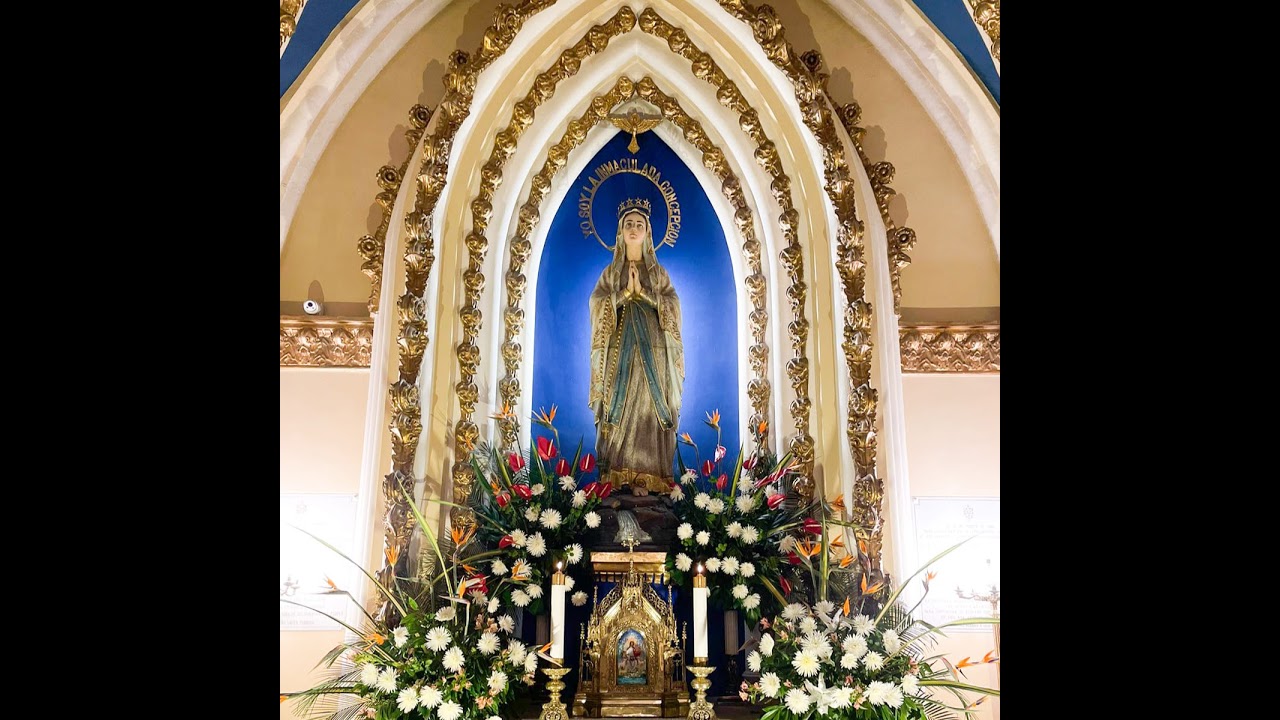 Transmisión Eucaristía Basílica de Lourdes   2024
