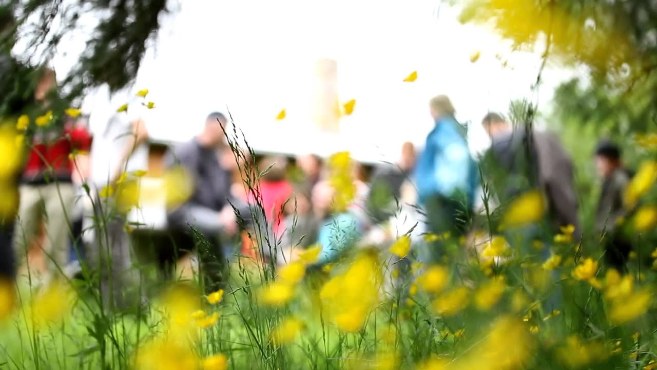 Icelandic Summer School - University of Iceland & The Árni Magnússon Institute