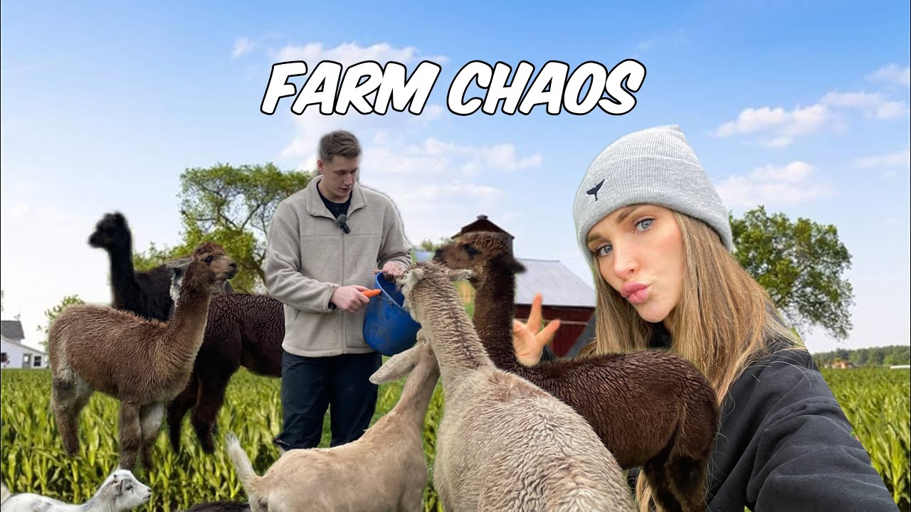 MEET OUR ANIMALS | FARM CHAOS | JESSIE CRIES