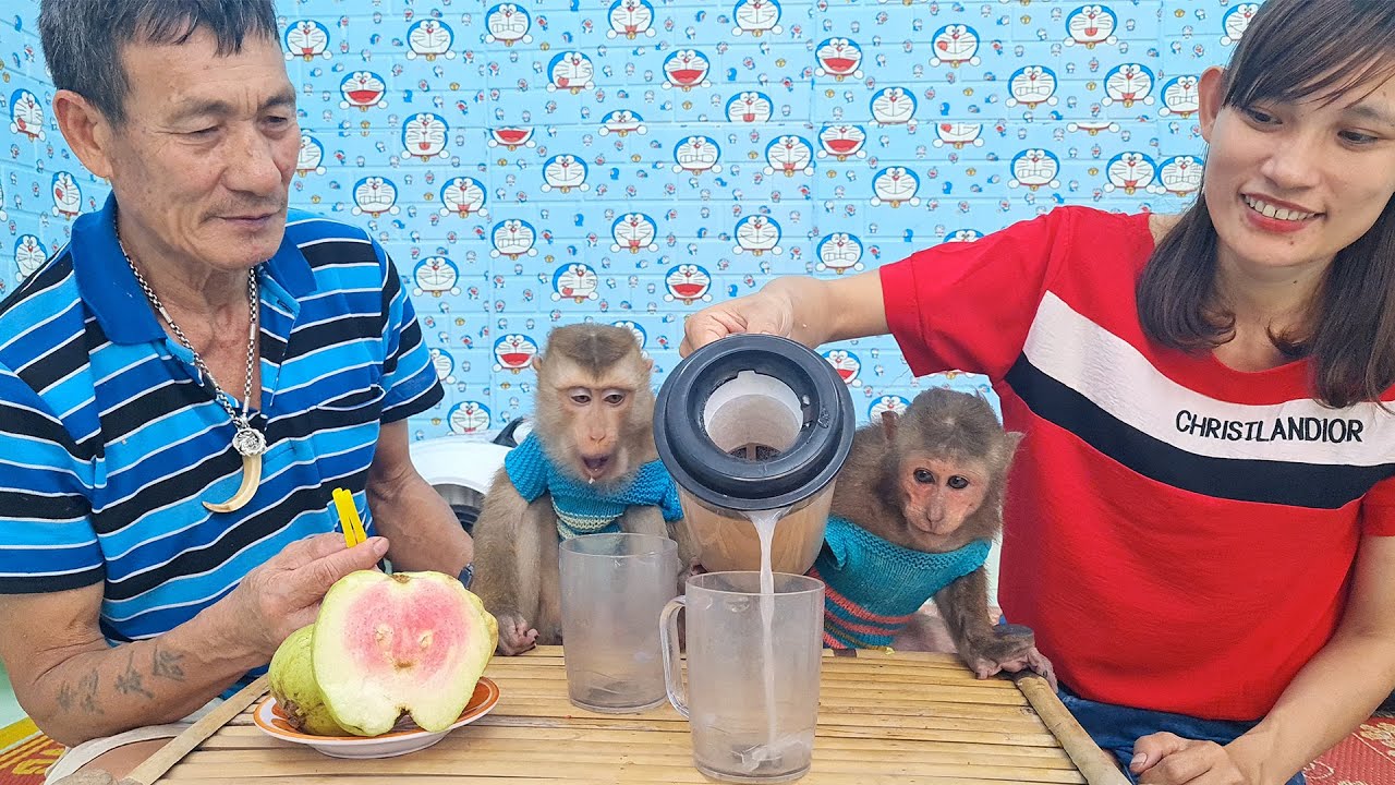 Ms  Van makes Pink Guava juice for cute Asher