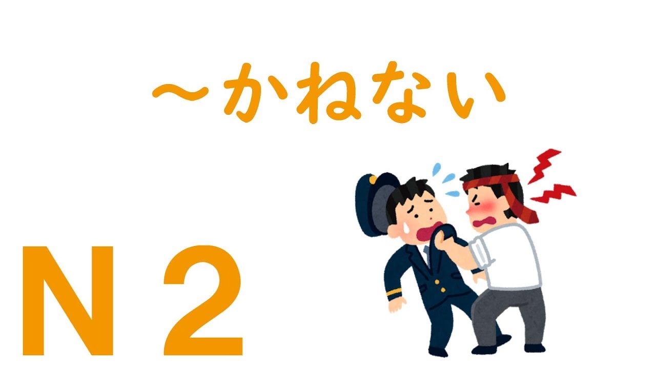 【Ｎ２文法】～かねない