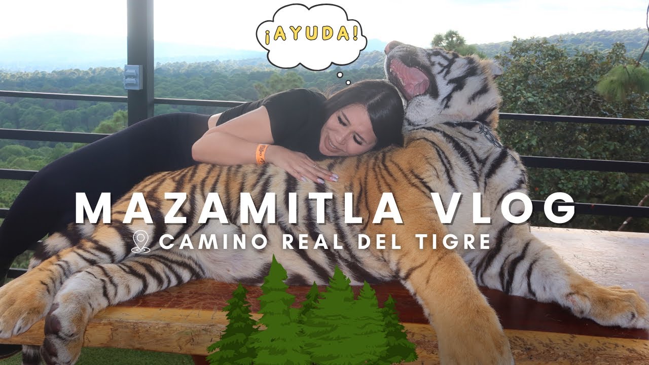ME ATACÓ UN TIGRE EN MAZAMITLA, JALISCO 🐅🌳(PARTE 2)