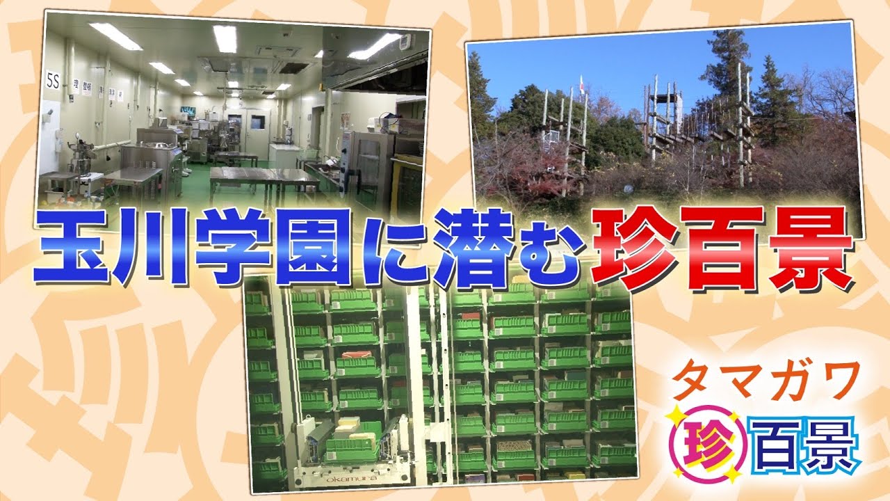 タマガワ珍百景玉川大学さがまちバンバン2025年2月公開
