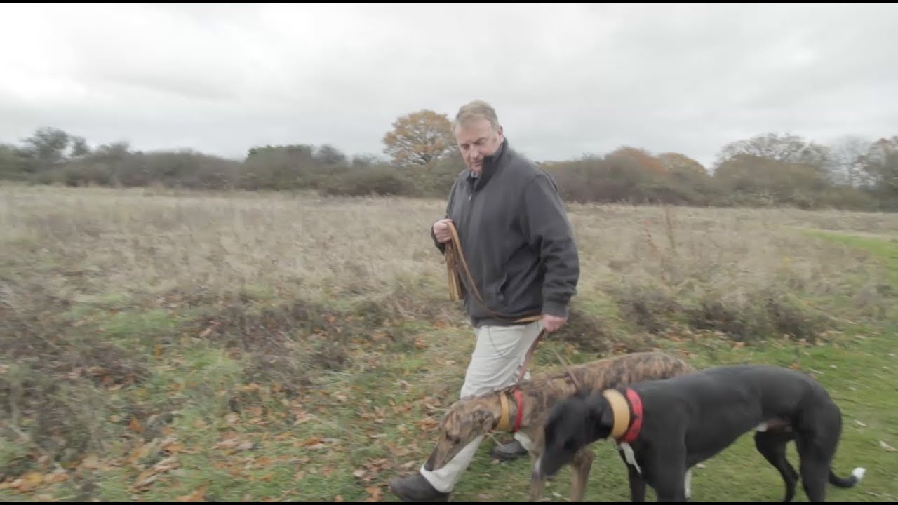 Chasing The Pack - The Life of a Greyhound Trainer