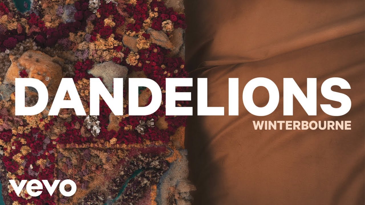 Winterbourne - Dandelions (Official Audio)